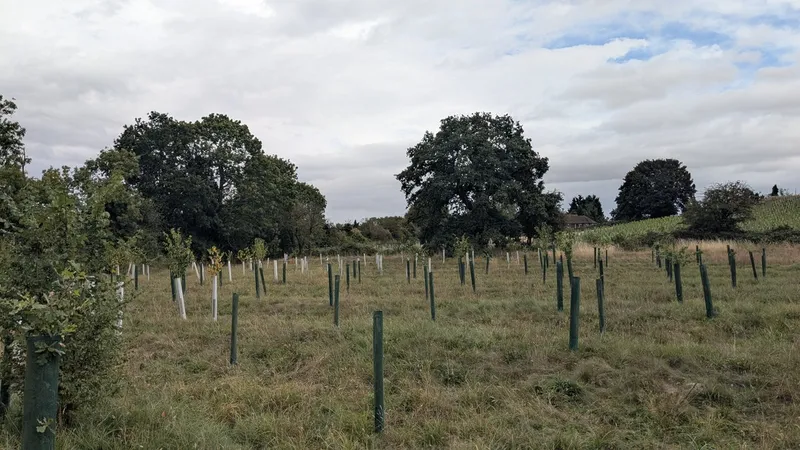 Bubbenhall - Image 4