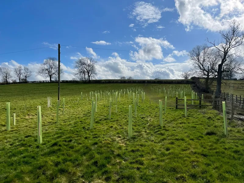 Glebe farm - Image 4