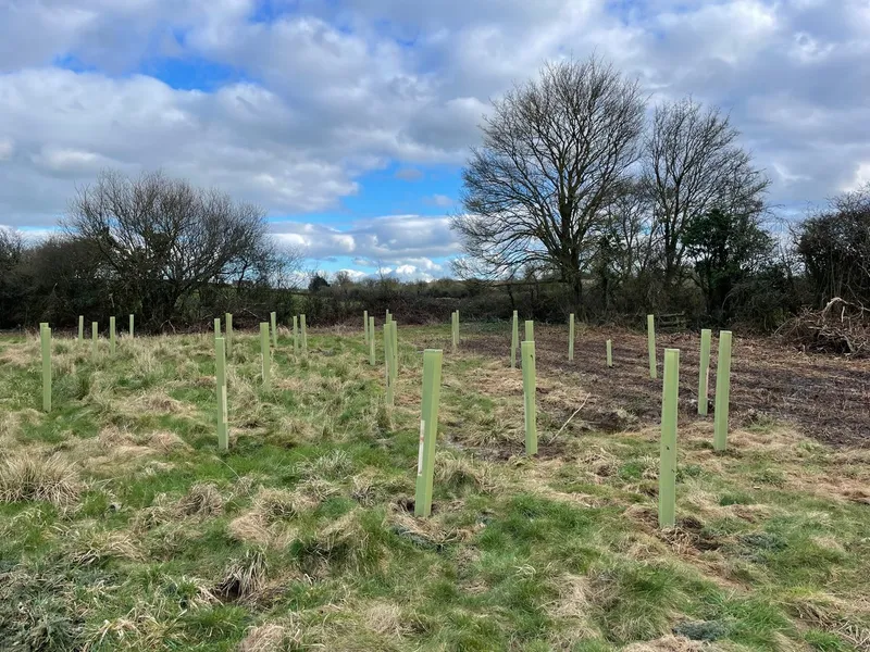 South Barrow - Image 4