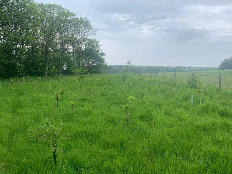 St Donat's Castle - Image 4