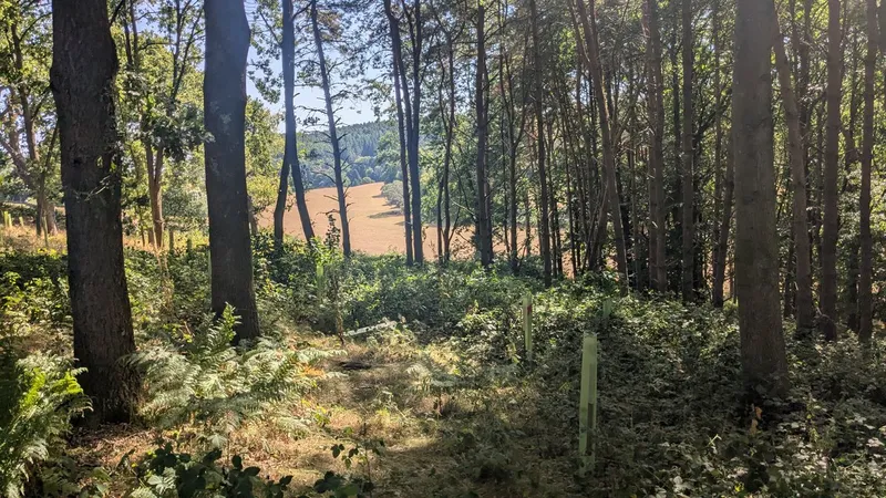 Thorncombe Street - Image 4