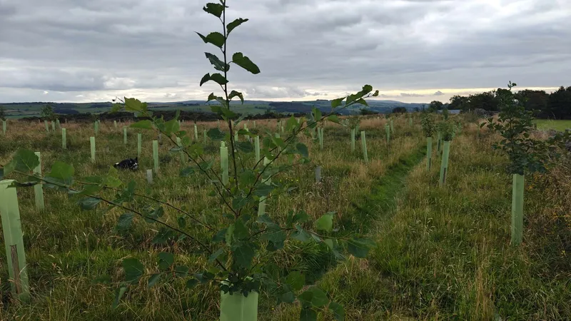 Haydon Bridge - Image 4