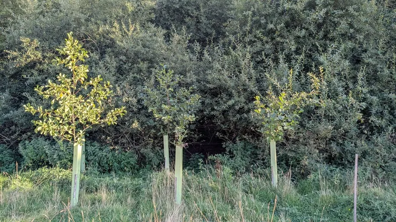 South Lodge - Image 4