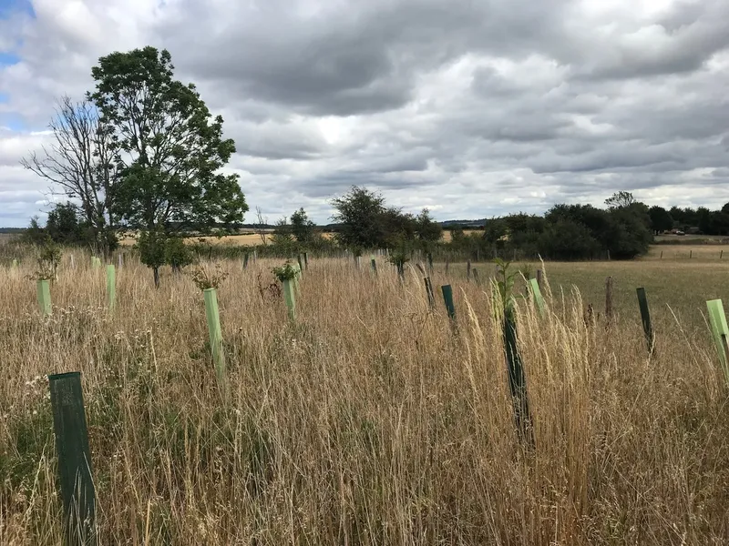 Bourton on the Water - Image 4