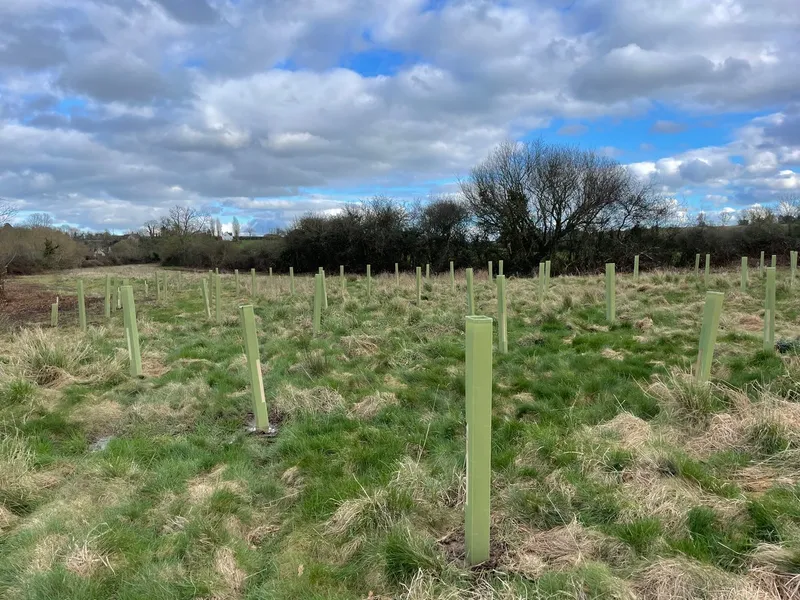 South Barrow - Image 5