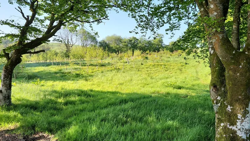 Pantpurlais - Image 5