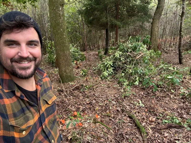 Dolberthog Wood - Image 5