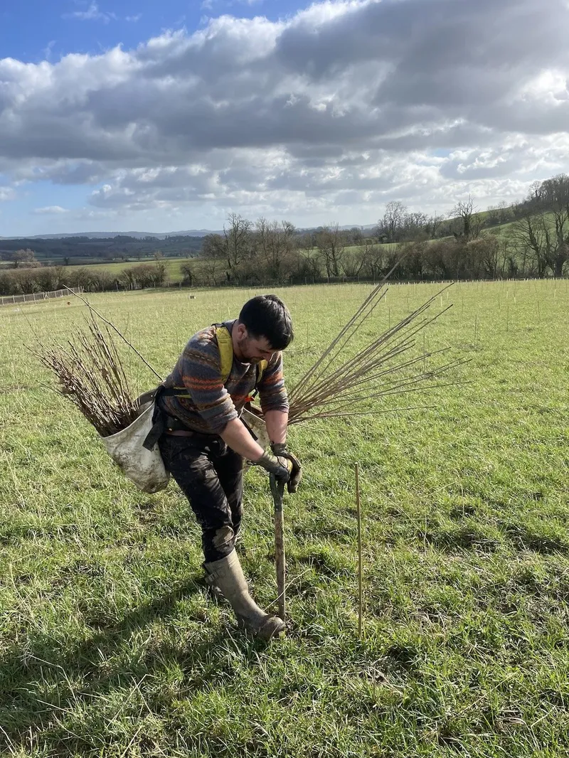 Highchurch Farm - Image 5