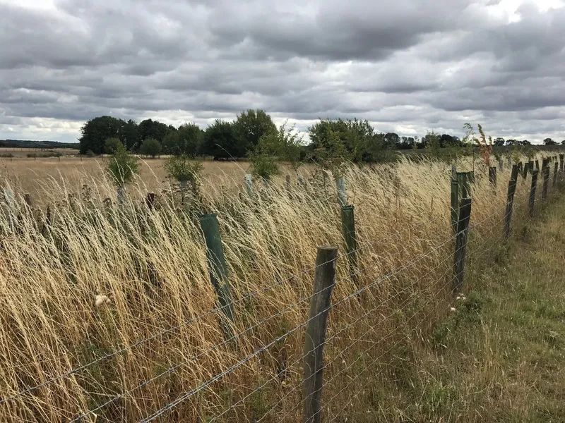 Bourton on the Water - Image 5