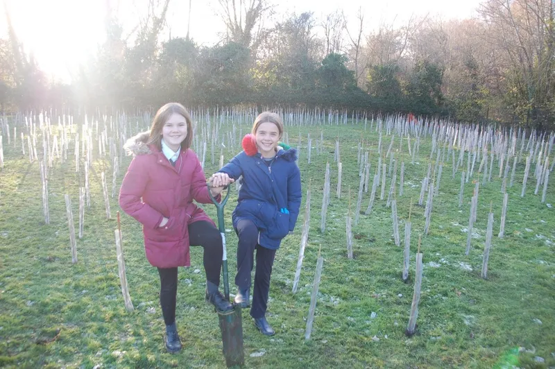 St Mary. & St. John Primary School - Image 5