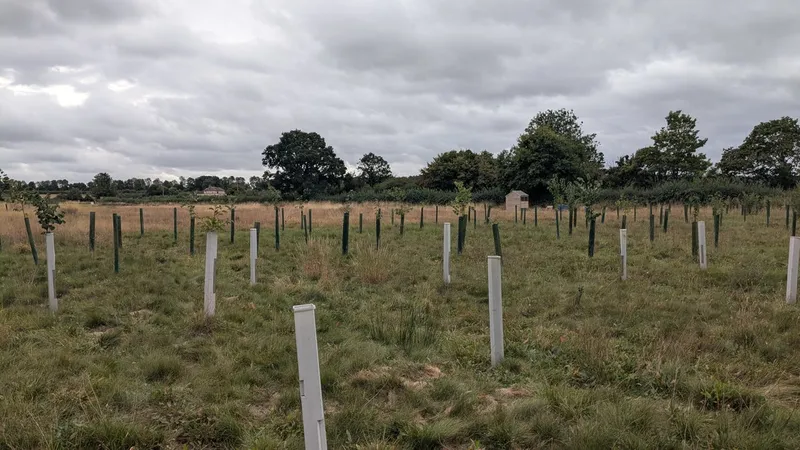 Bubbenhall - Image 5