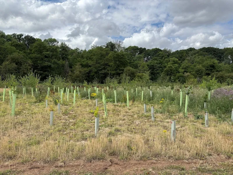 Hutton Rudby - Image 5