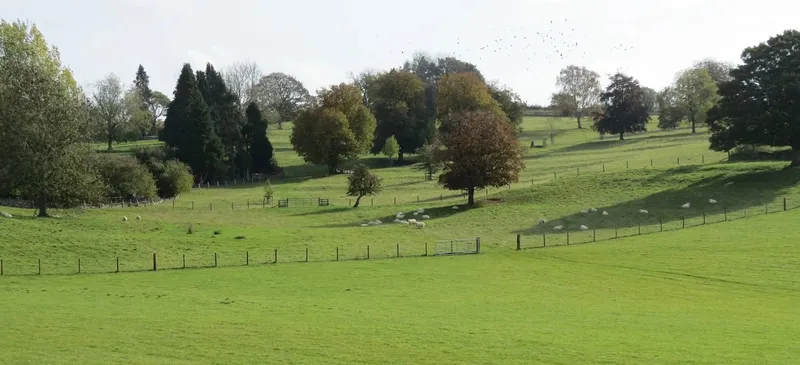 Lower Hampen Farm - Image 5