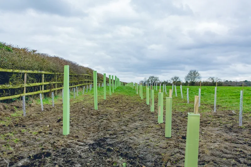 Eastcourt Farm - Image 5