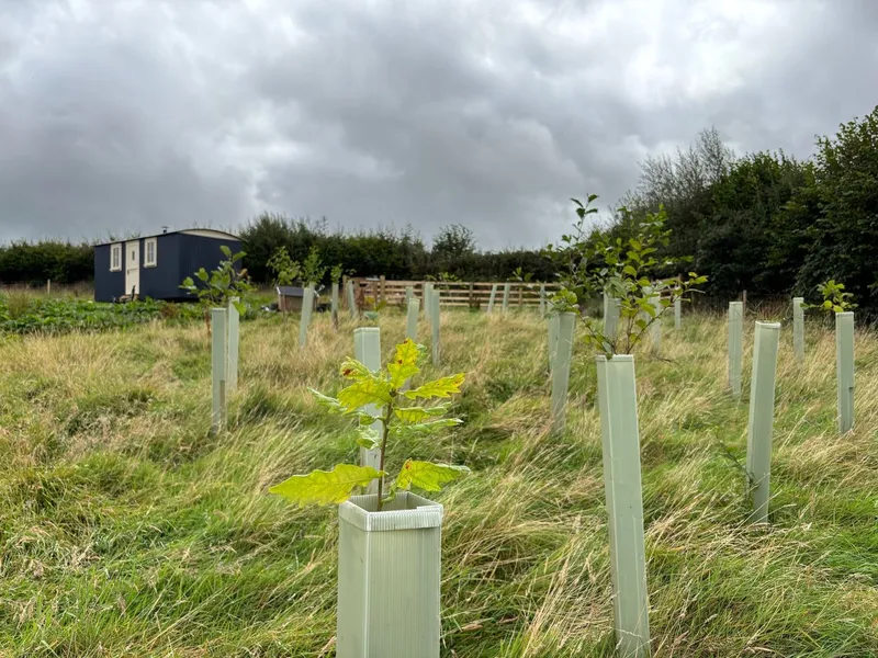 South Molton - Image 5