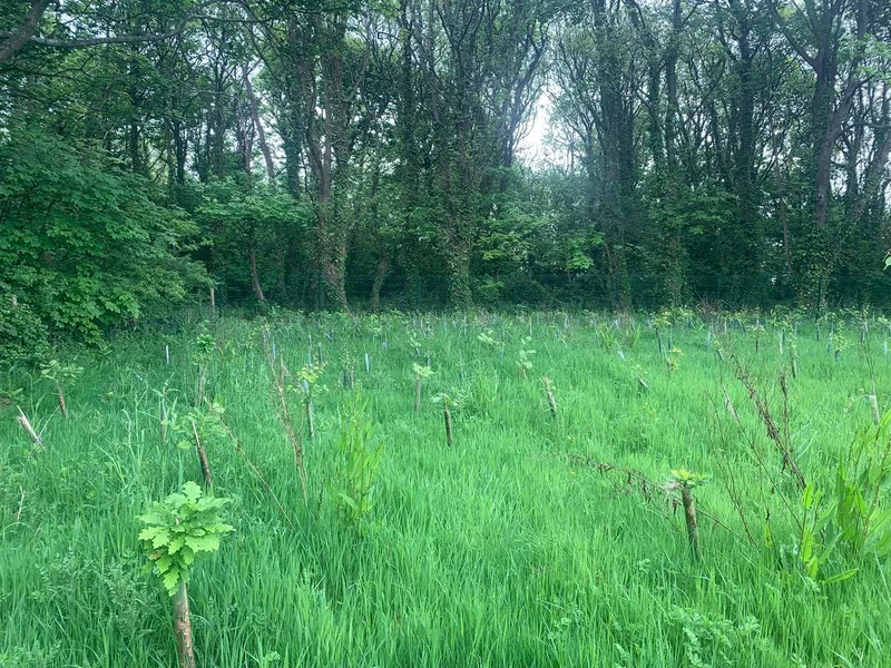 St Donat's Castle - Image 5