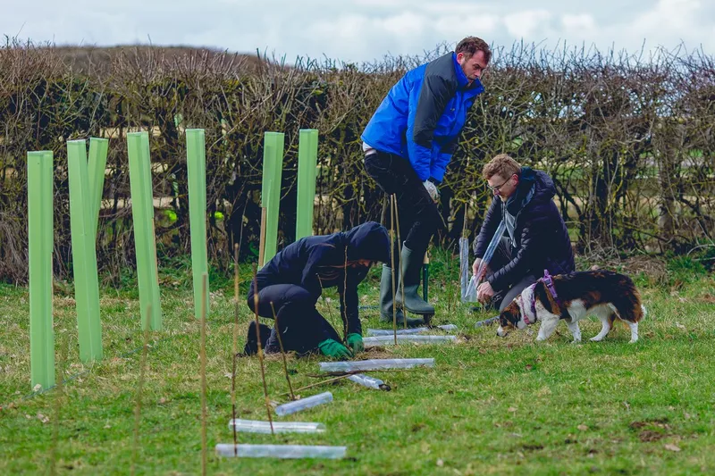 Eastcourt Farm - Image 6