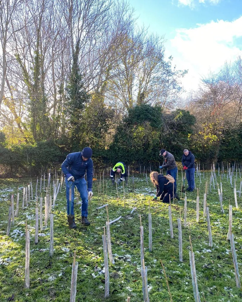 St Mary. & St. John Primary School - Image 6