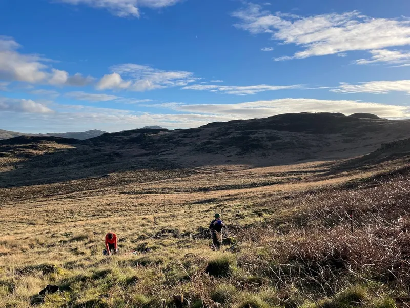 Hardknott Forest - Image 6