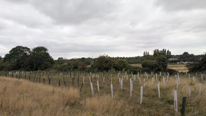 Bubbenhall - Image 6