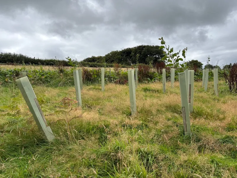 South Molton - Image 7