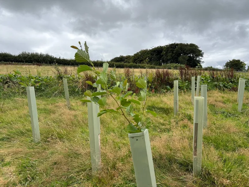 South Molton - Image 8