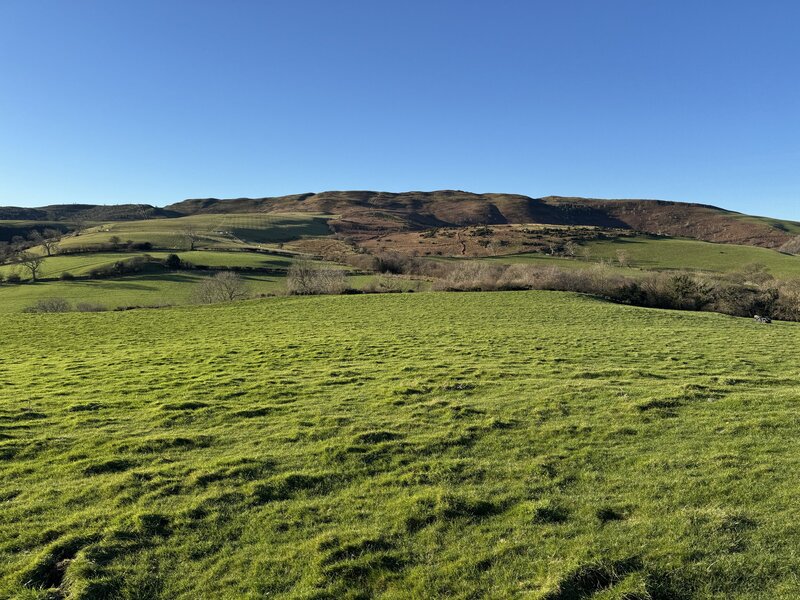 11,000 Saplings in North Wales