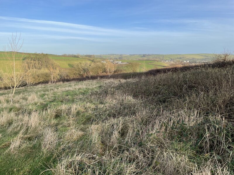 A case study in planting small holdings