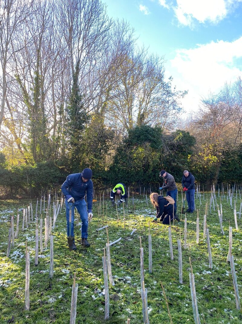 A Forest for the Future: Oxford Students Take Climate Action into Their Hands