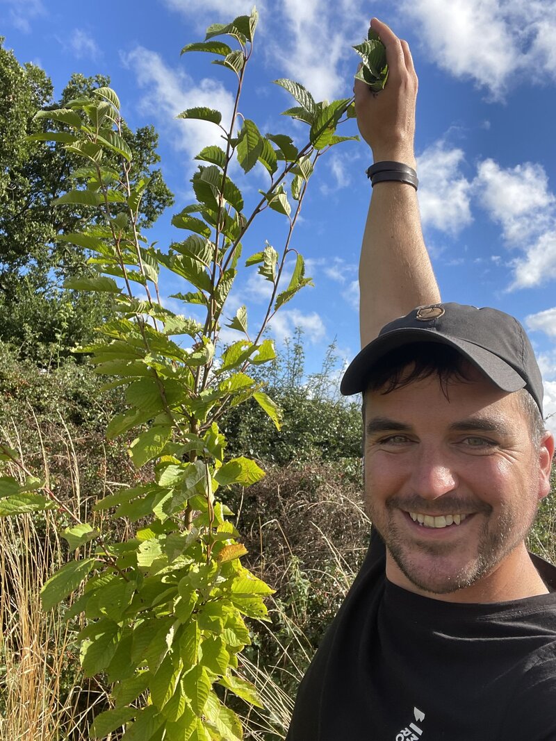 A Small Woodland Boasts Impressive 95% Survival Rate After Two Years
