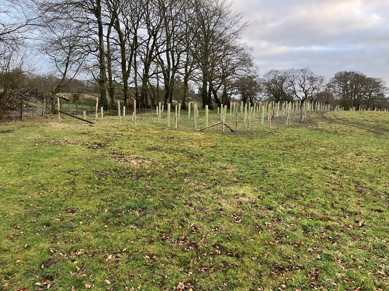 Balancing Productivity and Ecology: The Journey of Brynwichell Farm