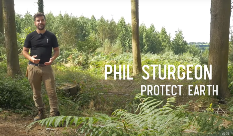 Deep Roots:  Ancient Woodlands Matter