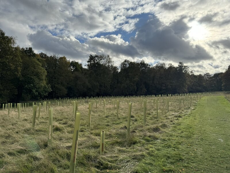 Empower Your Milestones: Fundraising for Protect Earth and Celebrating Achievements with Purpose