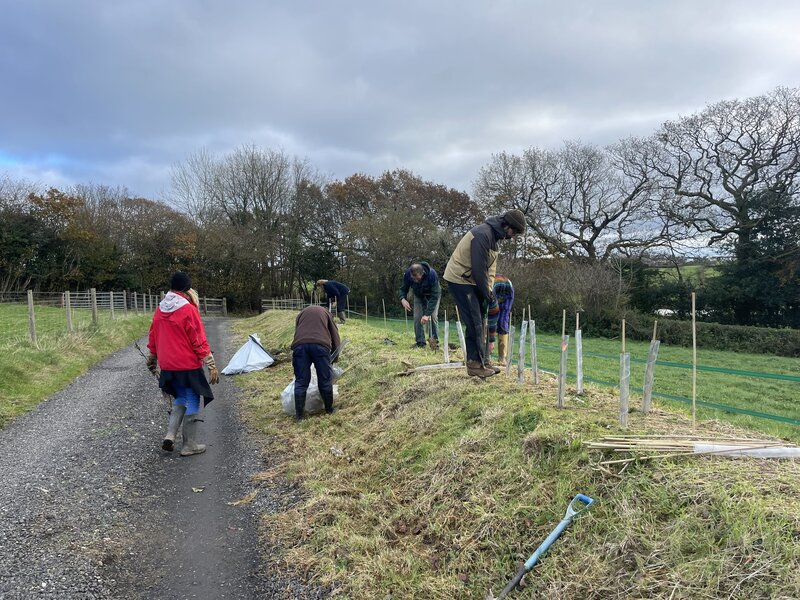 From Classroom to Countryside: Oakwood Specialist College Students and Protect Earth Unite for Hedgerow Planting