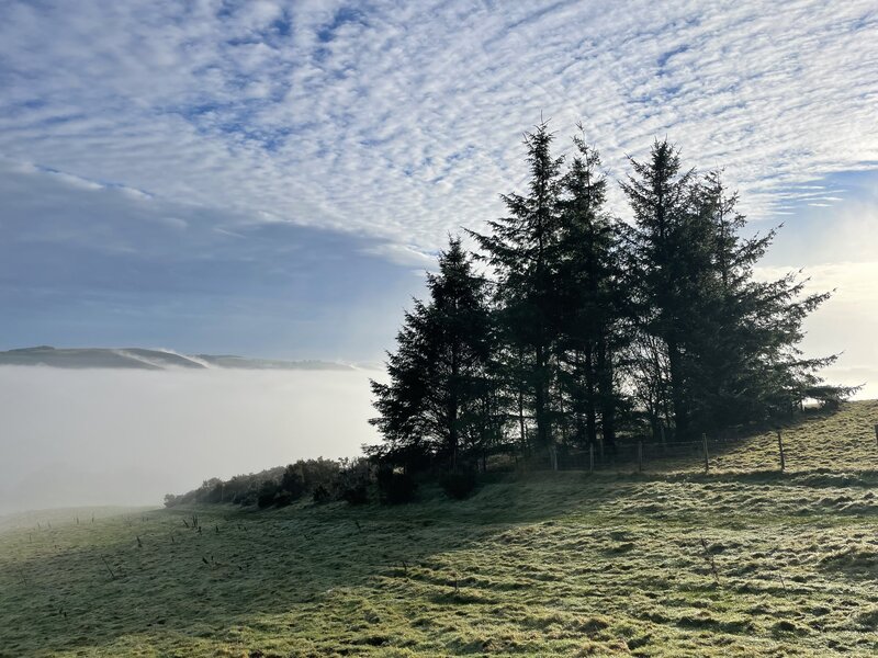 Coed Goetre: ein cymuned goedwig newydd yng Nghymru!