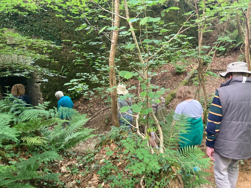 Highlights from Protect Earth's Second Annual Open Day