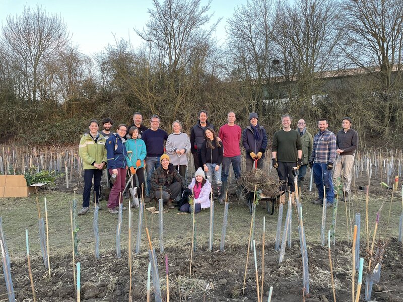 How Small Changes in Your Garden and Community Can Enhance Biodiversity