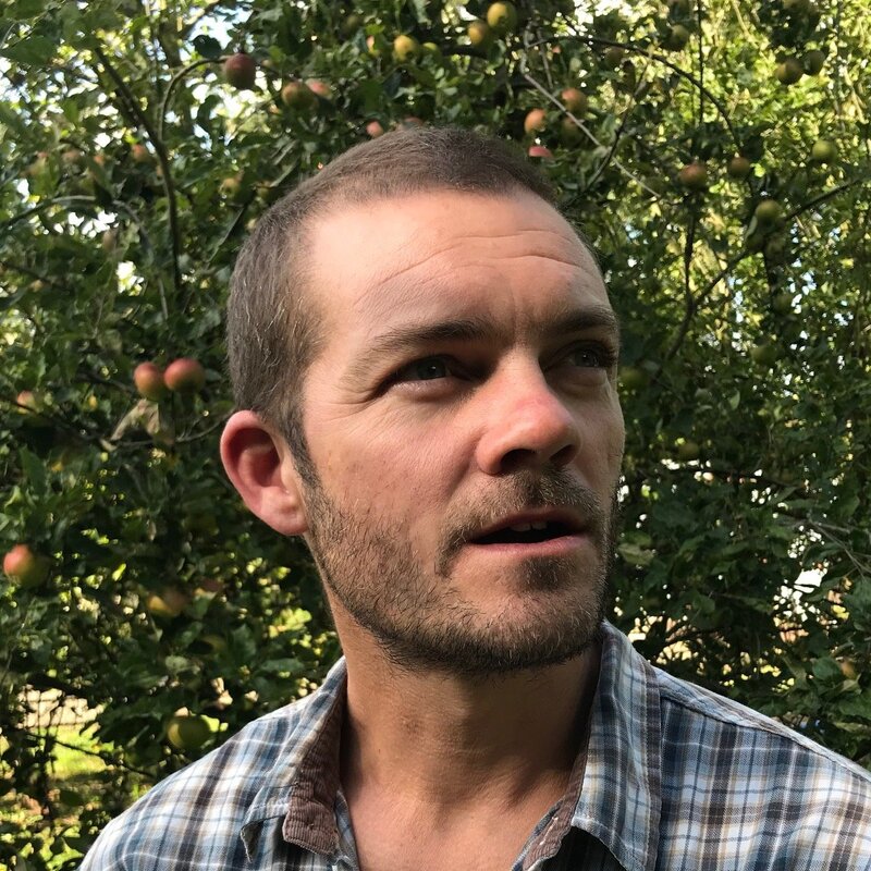 Introducing Steve Wiltshire, ecologist at Protect Earth