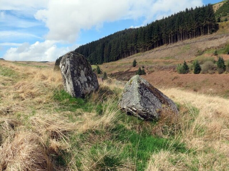 Lessons from Pontbren: How Nature and Food Production Can Coexist in Farming