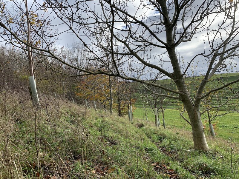 Planting Season Approaches