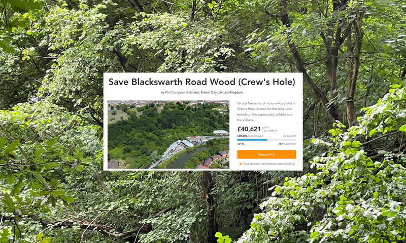 Protect Earth are Fundraising to protect Blackswarth Road Wood, Bristol
