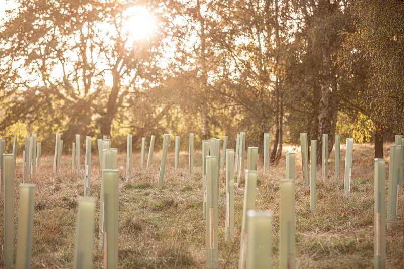 Protect Earth Joins Forces with 1% for the Planet for Environmental Impact