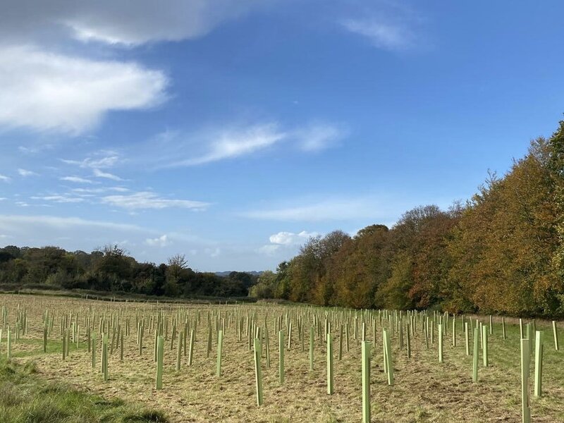 Protect Earth's experience with tree guards - plastics, plastic alternatives, &amp;amp; beyond