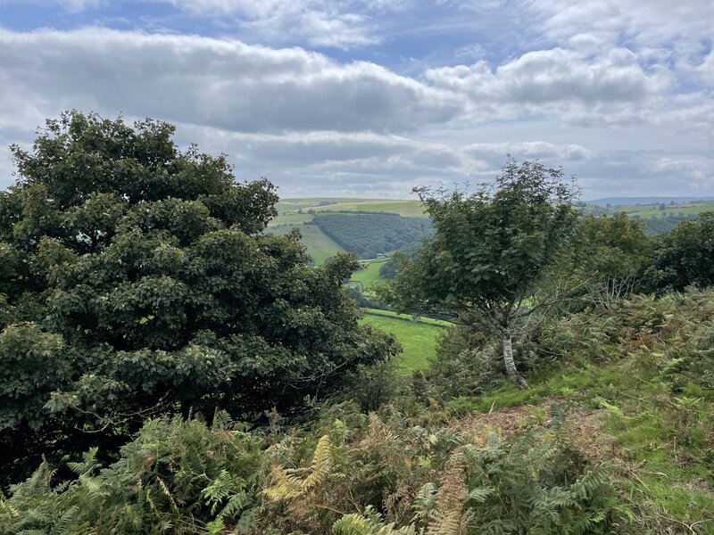 Protect Earth’s Maturing Success Metrics