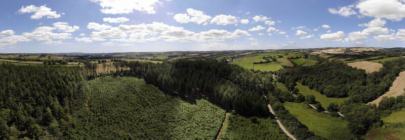 Protect Earth's work in 2022/23 at High Wood