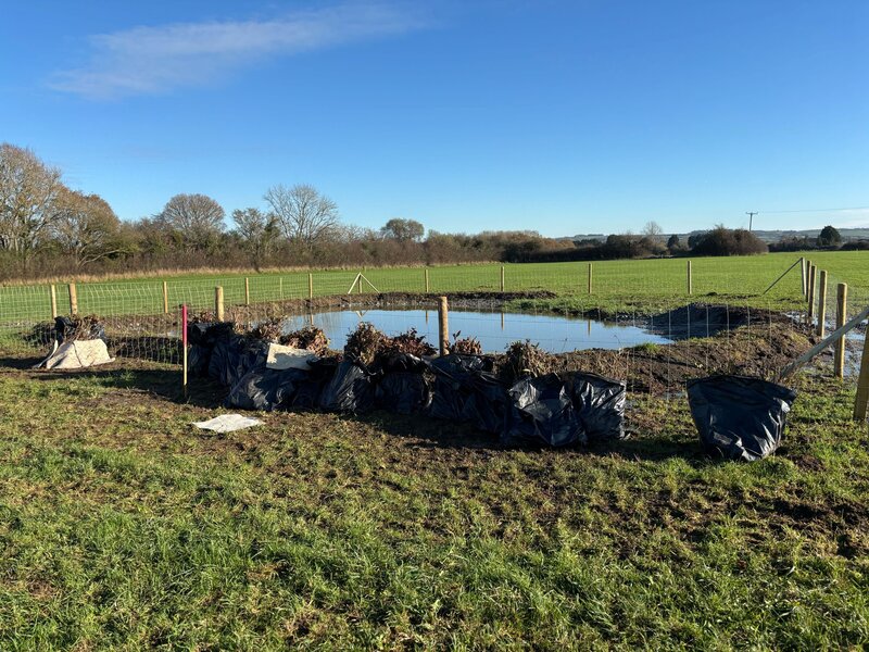 Pucklechurch Wood - A New Council-Created Woodland in South Gloucestershire