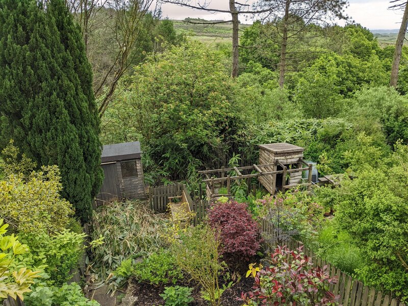 Removing Invasive Bamboo to Improve Biodiversity