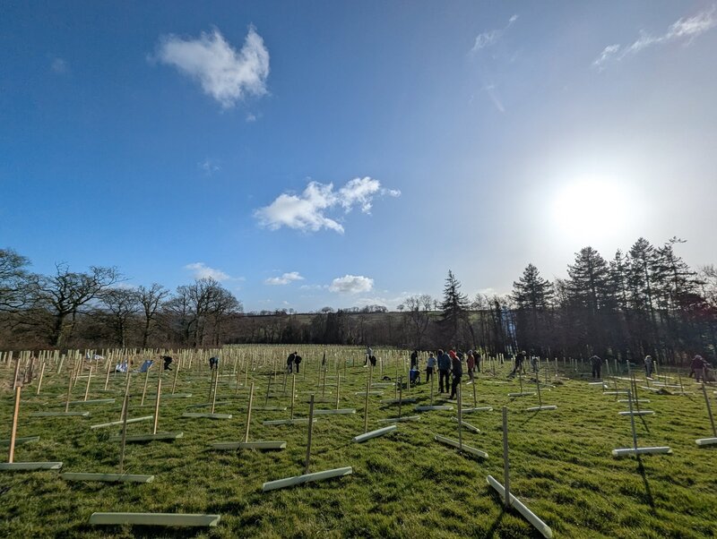 Restoring West Field Wood: A Shared Vision for Biodiversity