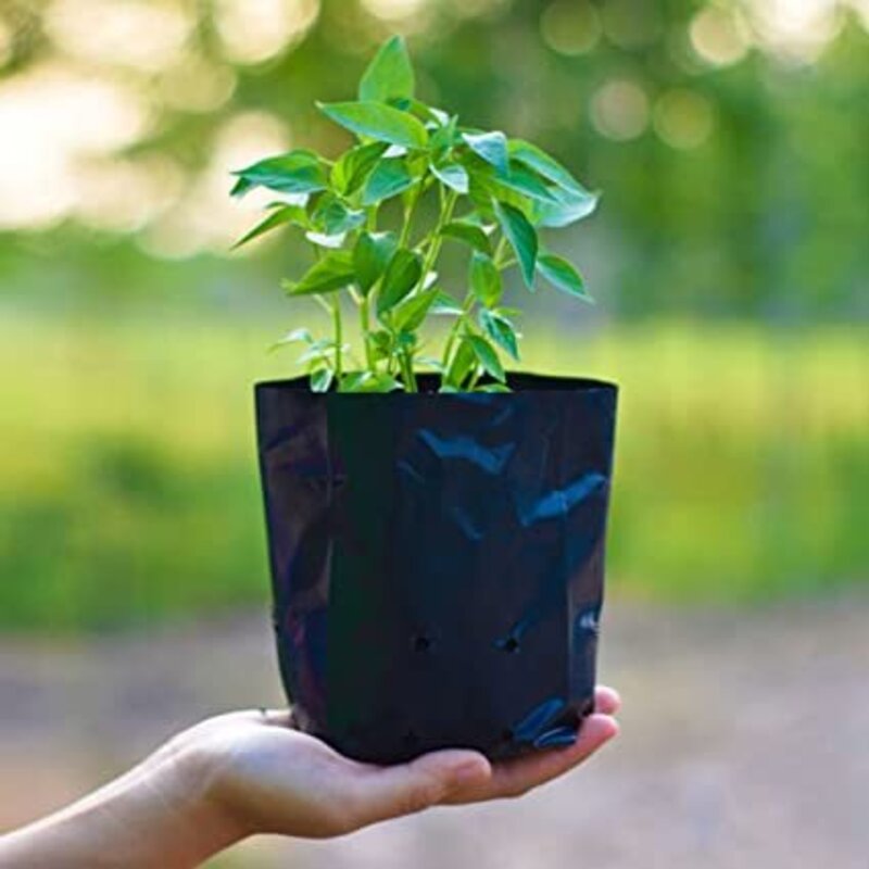 Supporter initiative - sapling grow bags