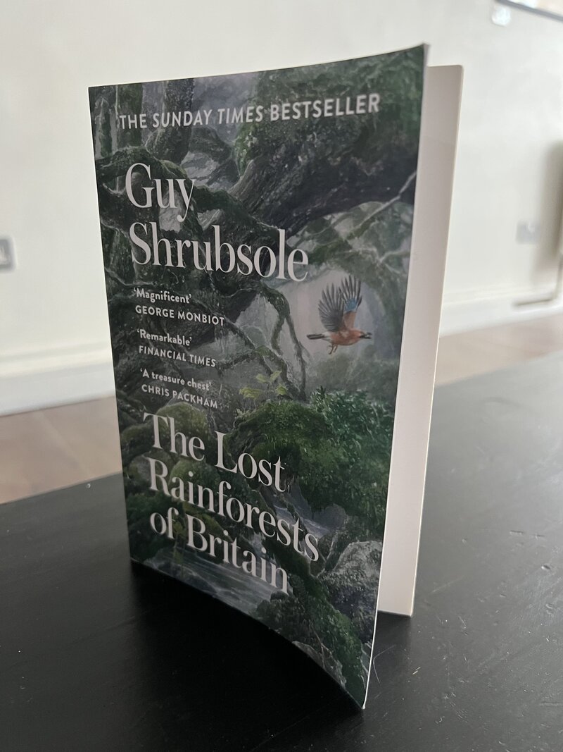 The Lost Rainforests of Britain